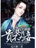 贵妻不为妾