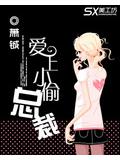 爱上小偷总裁